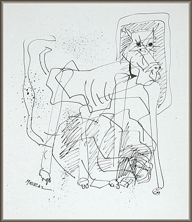 click on the picture to reduce it again